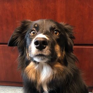 Meet your Posher, Sheri